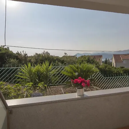 Guest house Antea 4*
